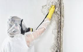 Kaplan, LA Mold Inspection Company